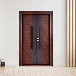 best-steel-door-brand-in-india