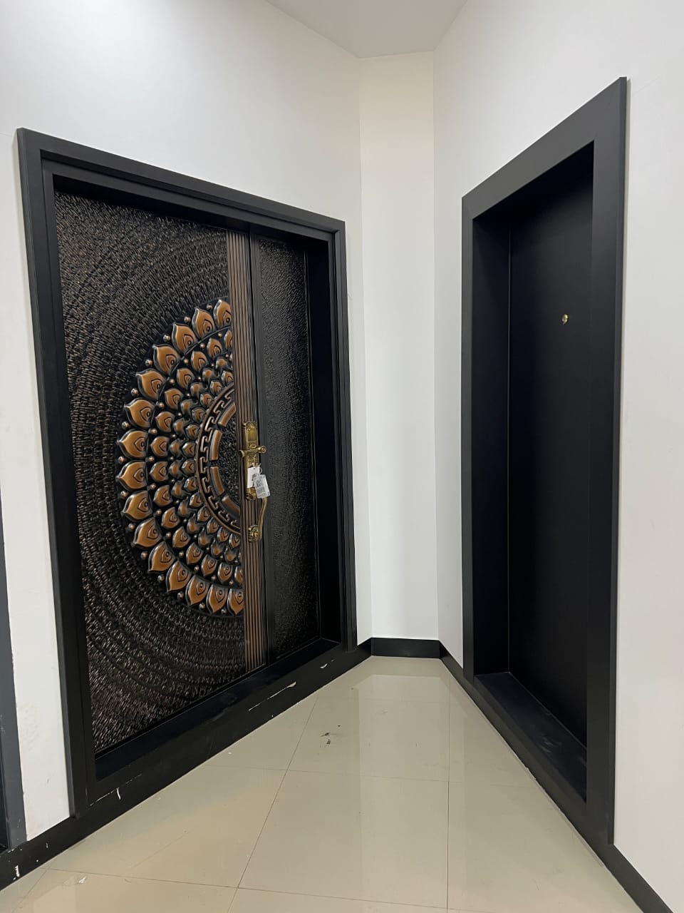 top_quality_steel_ doors_in_vellore