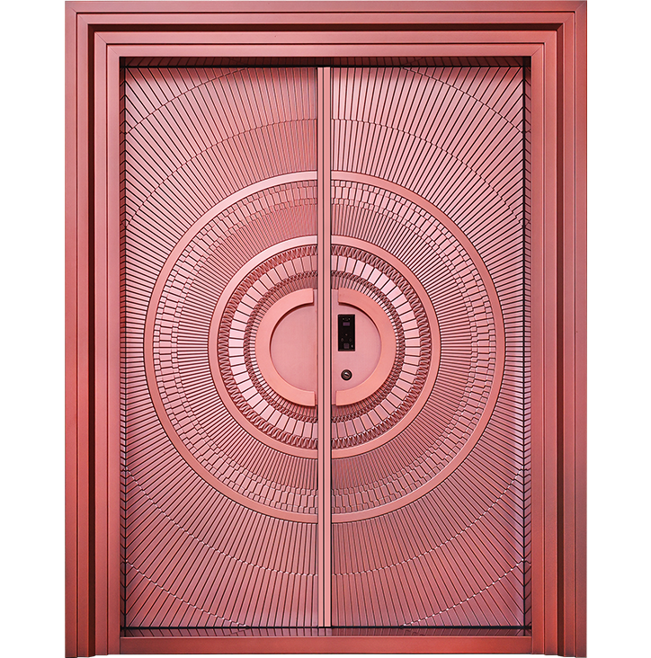 Kerala steel doors