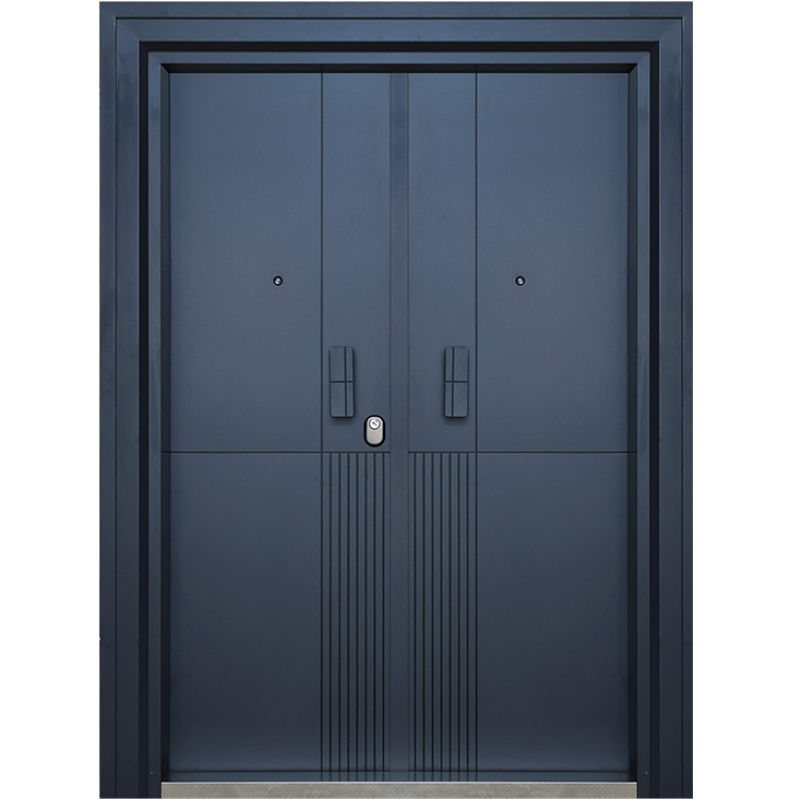 Steel door in India