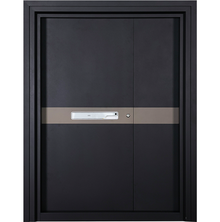 Best steel doors in Kerala
